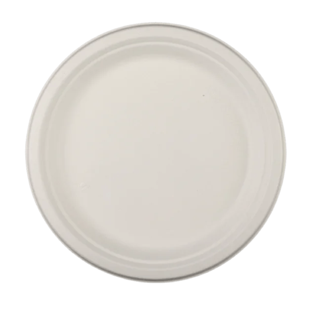 Eco-Friendly Disposable Plates – Sustainable Choices from TimeToGo